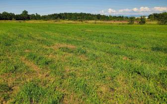 4.17 Acres for Sale Vergennes 